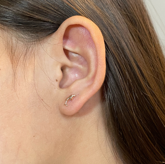 Aros Delfín Oro 14K